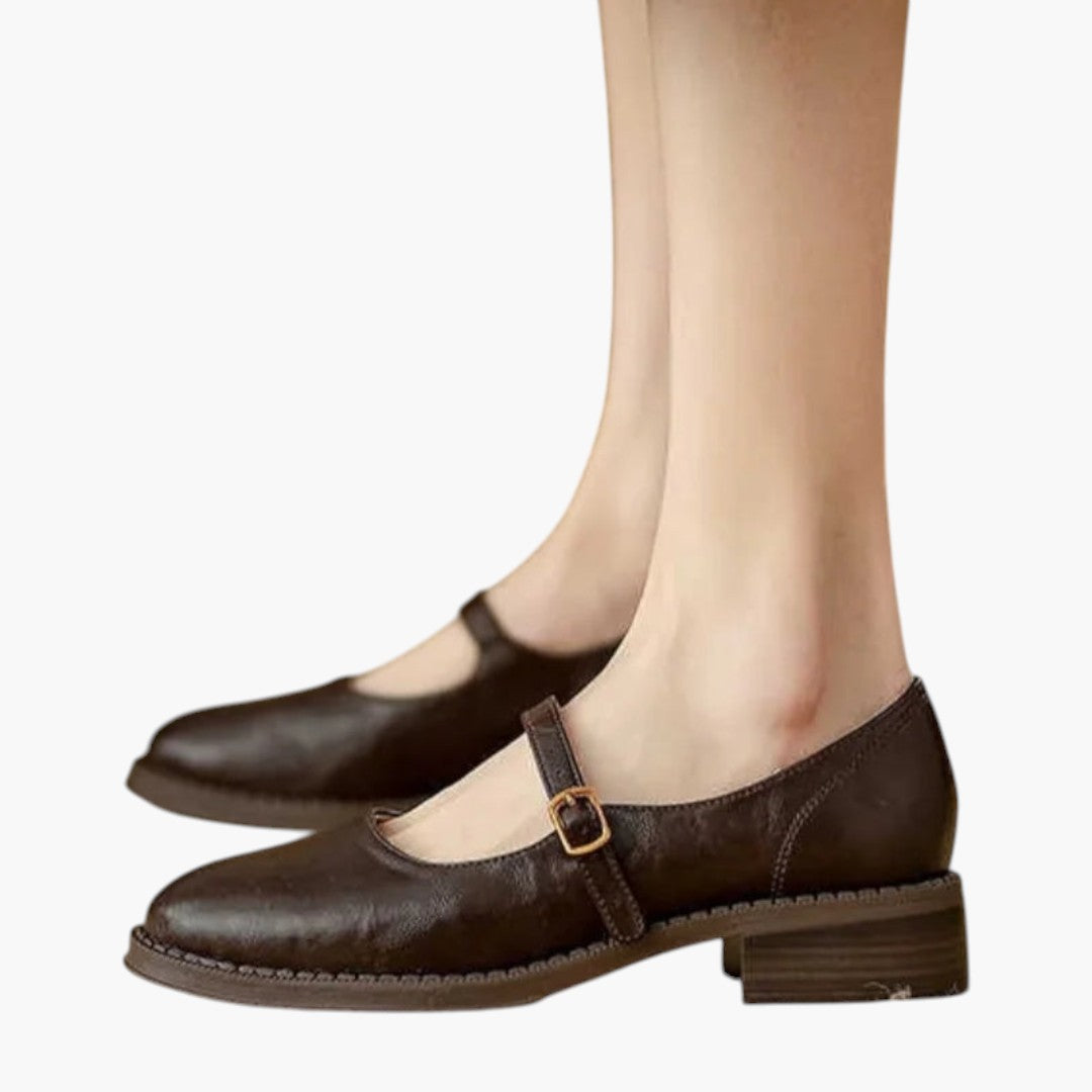 Women's Mary Jane Shoes with Strap and Low Block Heel
