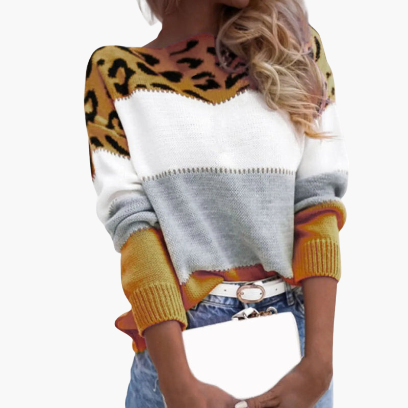 Maglione a maglia per donna a blocchi di colore e motivo leopardato